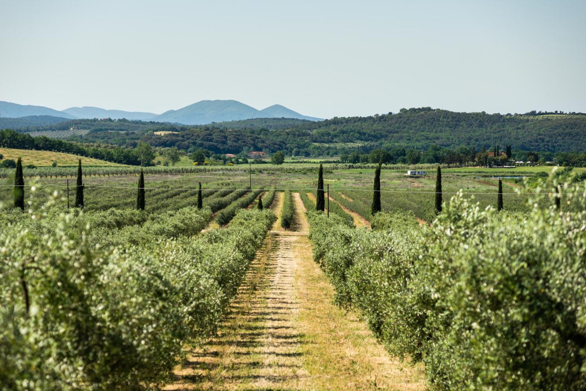 Tenuta Il Cicalino Massa Marittima Luaran gambar