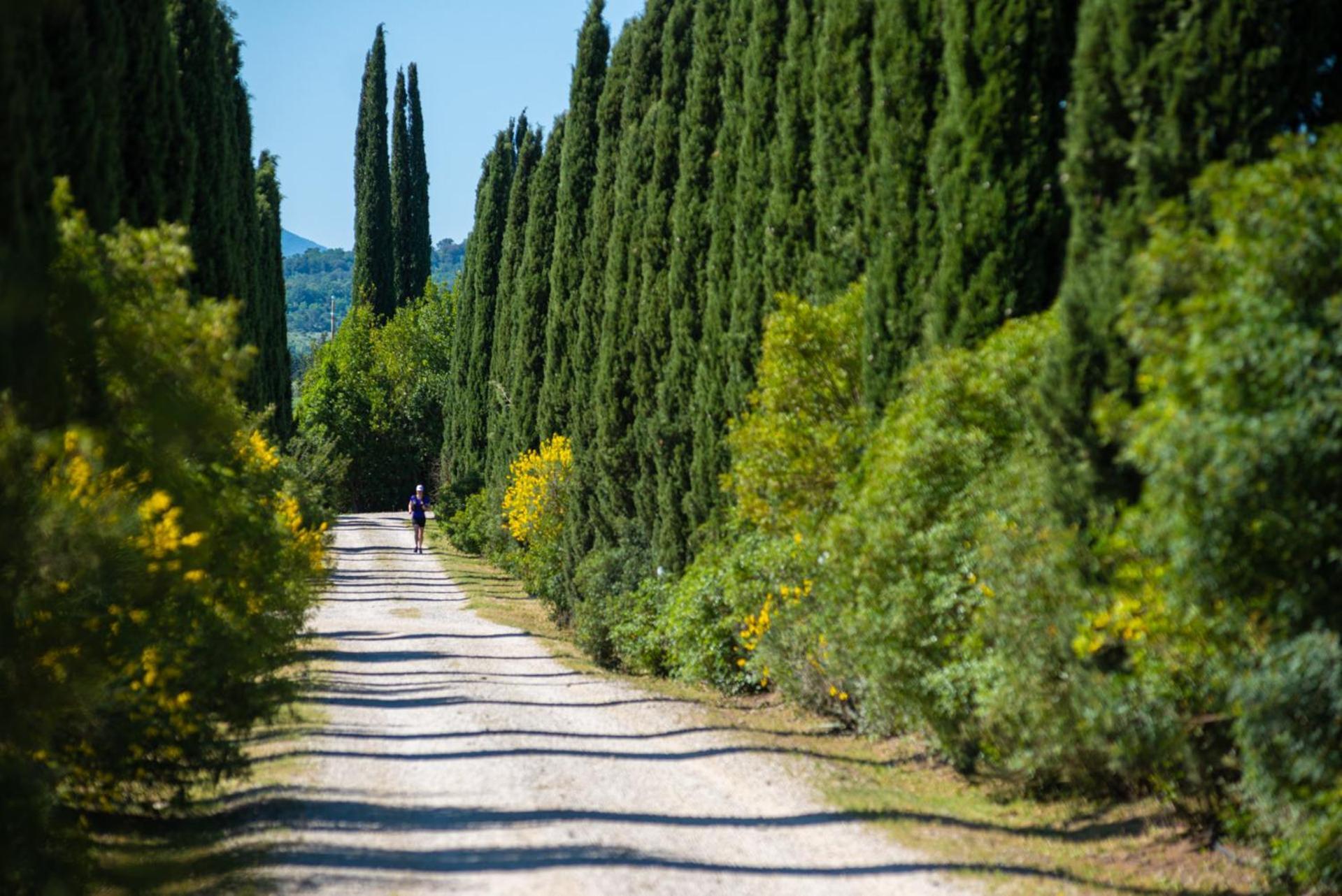 Tenuta Il Cicalino Massa Marittima Luaran gambar